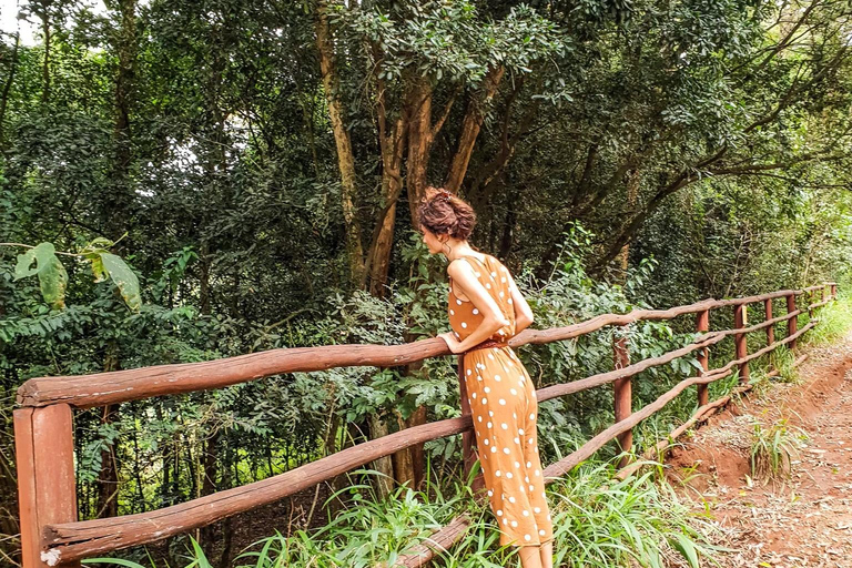 Nairobi: Trilho natural e caminhada na floresta de Karura