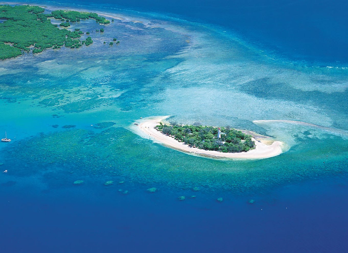 Port Douglas: Reef & Low Isles-krydstogt på luksuskatamaran