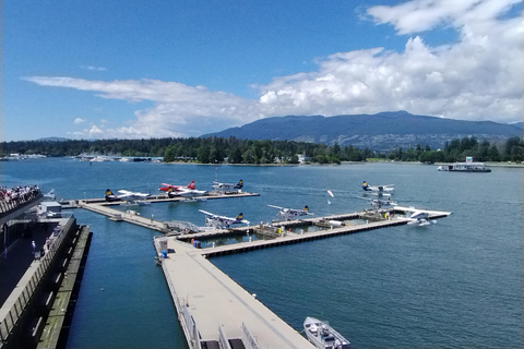 Tour in auto di Vancouver: Vedi tutte le attrazioni della città/risparmia tempo e denaro