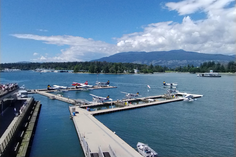 Recorrido en Coche por Vancouver: Ver todas las atracciones de la ciudad/Ahorrar tiempo y dinero