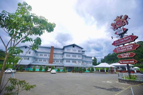 Królewskie ogrody botaniczne Kandy Peradeniya Tuk Sri LankaWycieczka po Królewskich Ogrodach Botanicznych Tuk Tukiem {kierowca - Tharanga}