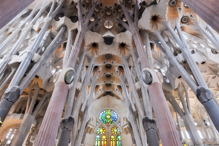 Barcelona: tour privado de 2 horas por la Sagrada Familia para personas mayores