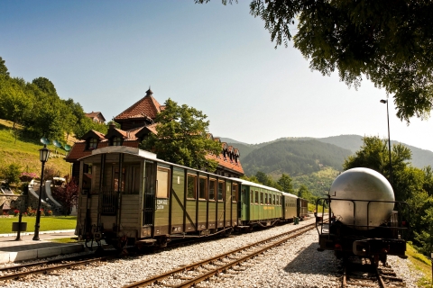 Ab Belgrad: 1-tägige Tour mit der Eisenbahn Sargan 8 und der Holzstadt