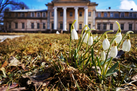 Riga: privétour Sigulda, Turaida en Gauja National Park