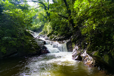 Entre Nubes - Sunrise at Cerro Kennedy, Pozo Azul, and Cacao Experience Between Clouds, Pozo Azul, and Cacao – Departure from the Minca Bridge