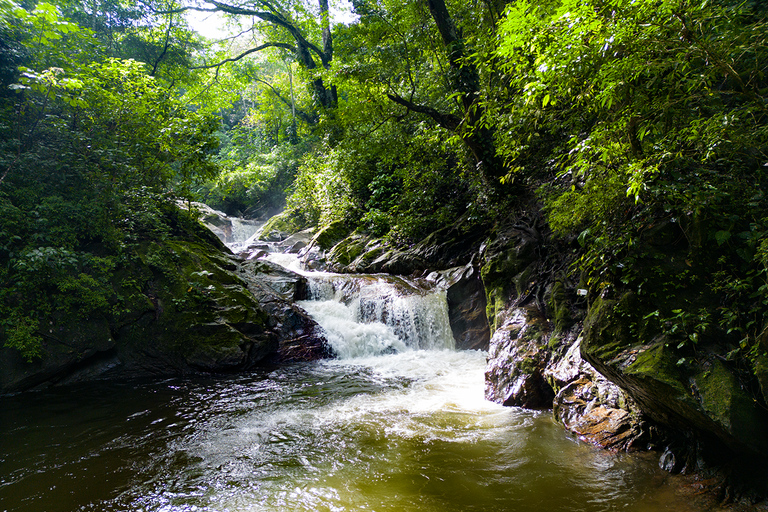 Entre Nubes - Sunrise at Cerro Kennedy, Pozo Azul, and Cacao Experience Between Clouds, Pozo Azul, and Cacao – Departure from the Minca Bridge