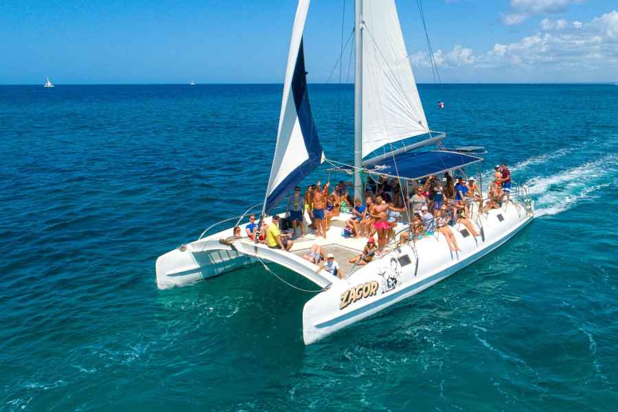 Die Insel Saona: Ganztägige Bootstour mit Mittagsbuffet und Getränken