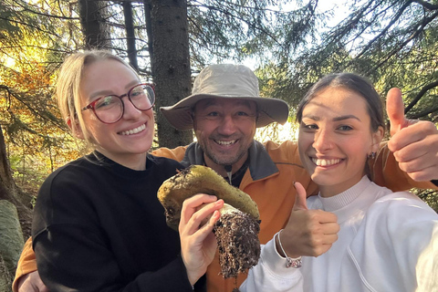 Sofia: Culinary Adventure To The Fungi And Botanical Kingdom