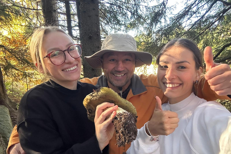 Sofia: Culinary Adventure To The Fungi And Botanical Kingdom