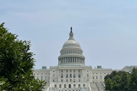 Washington DC: recorrido a pie por la arquitectura icónica del Capitolio