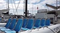 Albufeira, Benagil Cave and Dolphin Sightseeing Boat Cruise - Housity