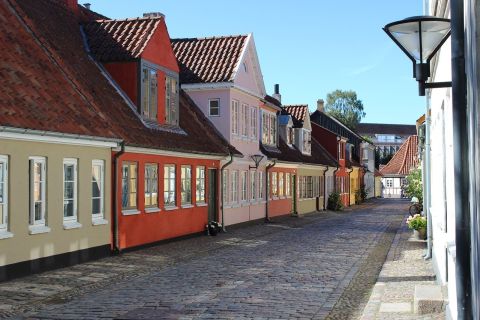 Inspiring Odense - Walking Tour for Couples