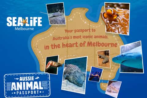 Melbourne: SEA LIFE Aquarium Entrance Ticket