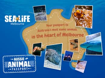 Melbourne: Ticket für das SEA LIFE Aquarium Melbourne: Ticket für das SEA LIFE Aquarium