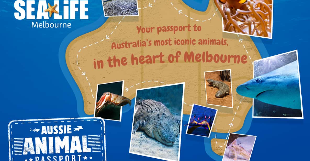 Melbourne: SEA LIFE Aquarium Entrance Ticket