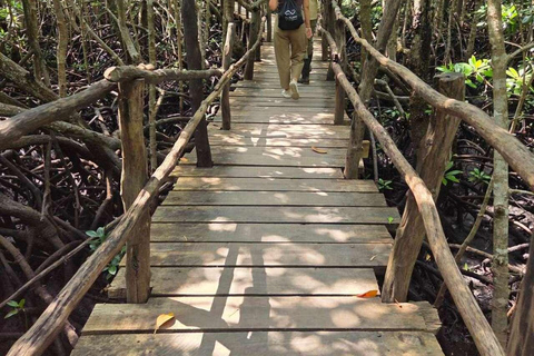Zanzibar: Spice Farm, Jozani Forest & Salaam Cave Tour Private tour without hotel transfer