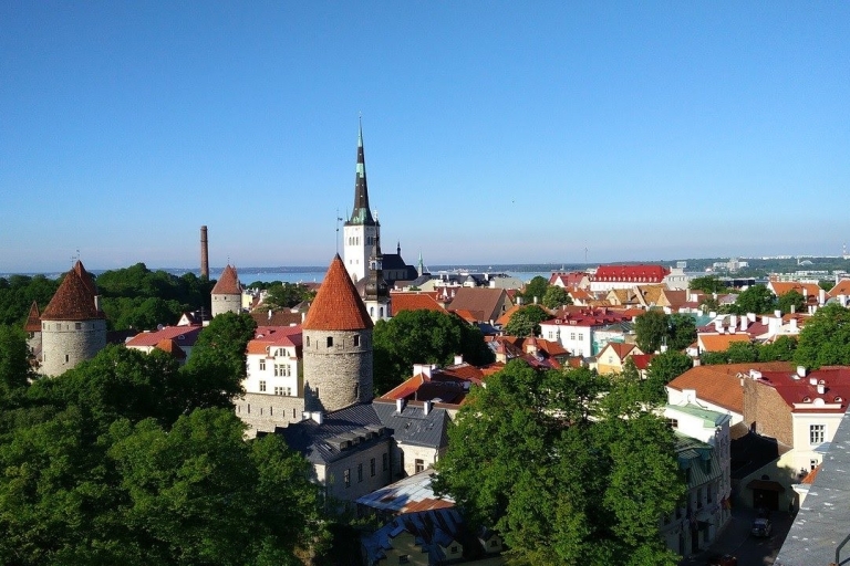 Tallinn: City Highlights Walking Tour z lokalnym przewodnikiem