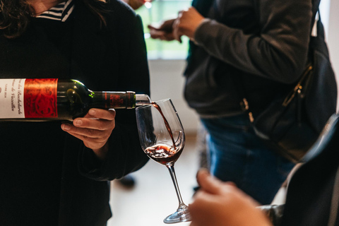 Au départ de Lyon : Circuit des vins du Beaujolais avec dégustations