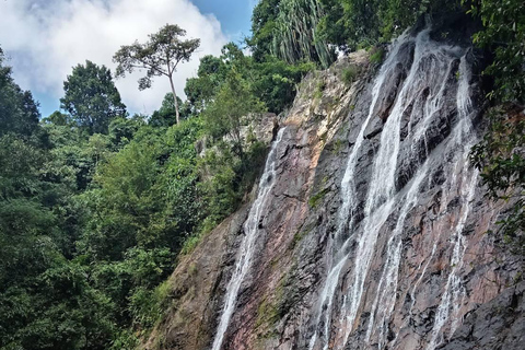 Koh Samui: Private Customizable Tour with Driver and Guide