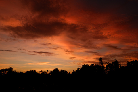 Mont Batur Sunrise Trek et visite des sources chaudes