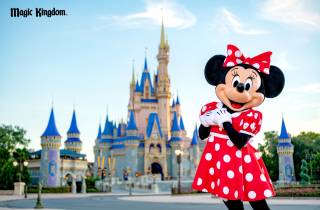 Orlando: Walt Disney World Resort Basis-Tickets