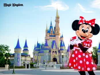 Orlando: Walt Disney World Resort Basis-Tickets Orlando: Walt Disney World Resort Basis-Tickets