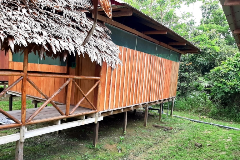 Amazonie 2 jours, 1 nuit Iquitos - Ancêtres de la jungleAu départ d'Iquitos : Excursion de 2 jours et 1 nuit dans la jungle