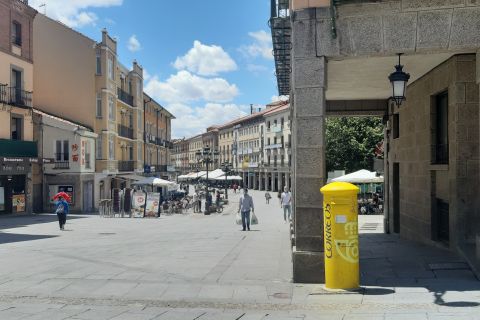 Segovia: tour guiado a pie con catedral y Alcázar