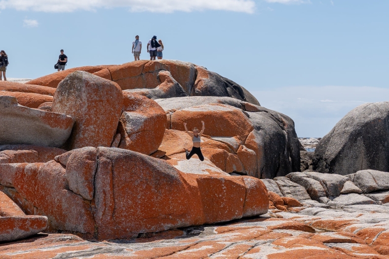 From Hobart: 5-Day Tasmania West & East Coast Tour Tour with Hostel Double Upgrade
