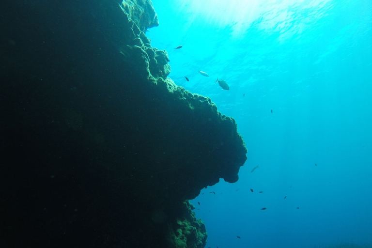 Santorini: Experiencia de submarinismo en la Caldera VolcánicaBuceo