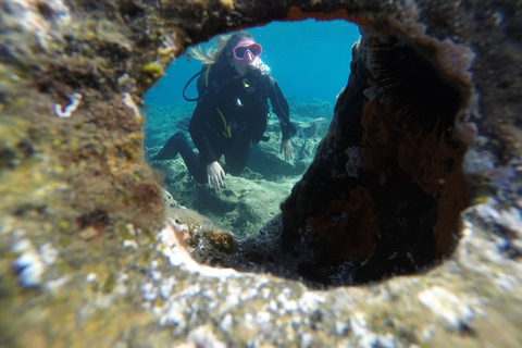 Santorini: esperienza di immersione subacquea nella Caldera vulcanicaImmersioni subacquee