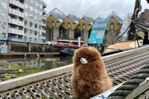 Hague & Rotterdam Full-Day Adventure from Brussels Comfort Car 1-2 Pax