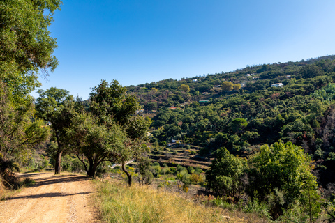 Algarve: jeepsafari met bezoek aan distilleerderij en lunch