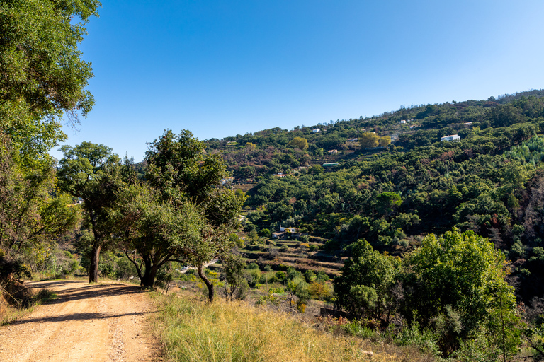 Algarve: safari en jeep con visita a la destilería y almuerzo