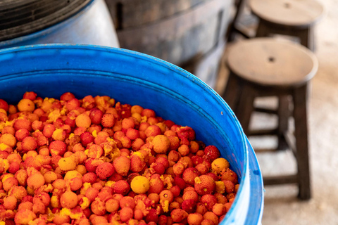 Algarve: Full-Day Boat and Jeep Tour