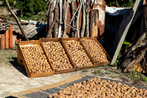 Algarve: Full-Day Boat and Jeep Tour