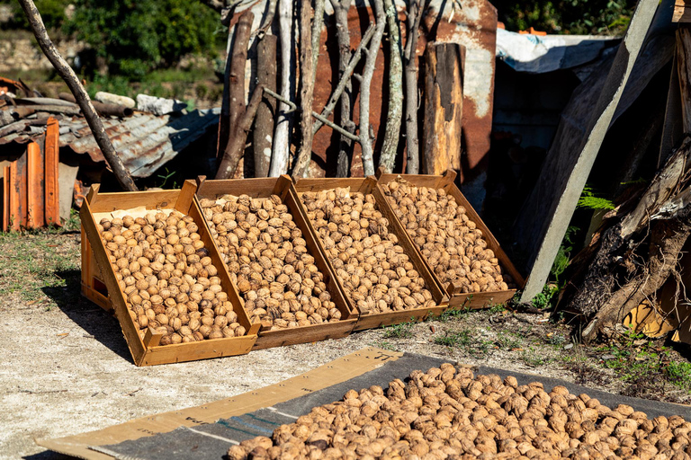 Algarve: Full-Day Boat and Jeep Tour