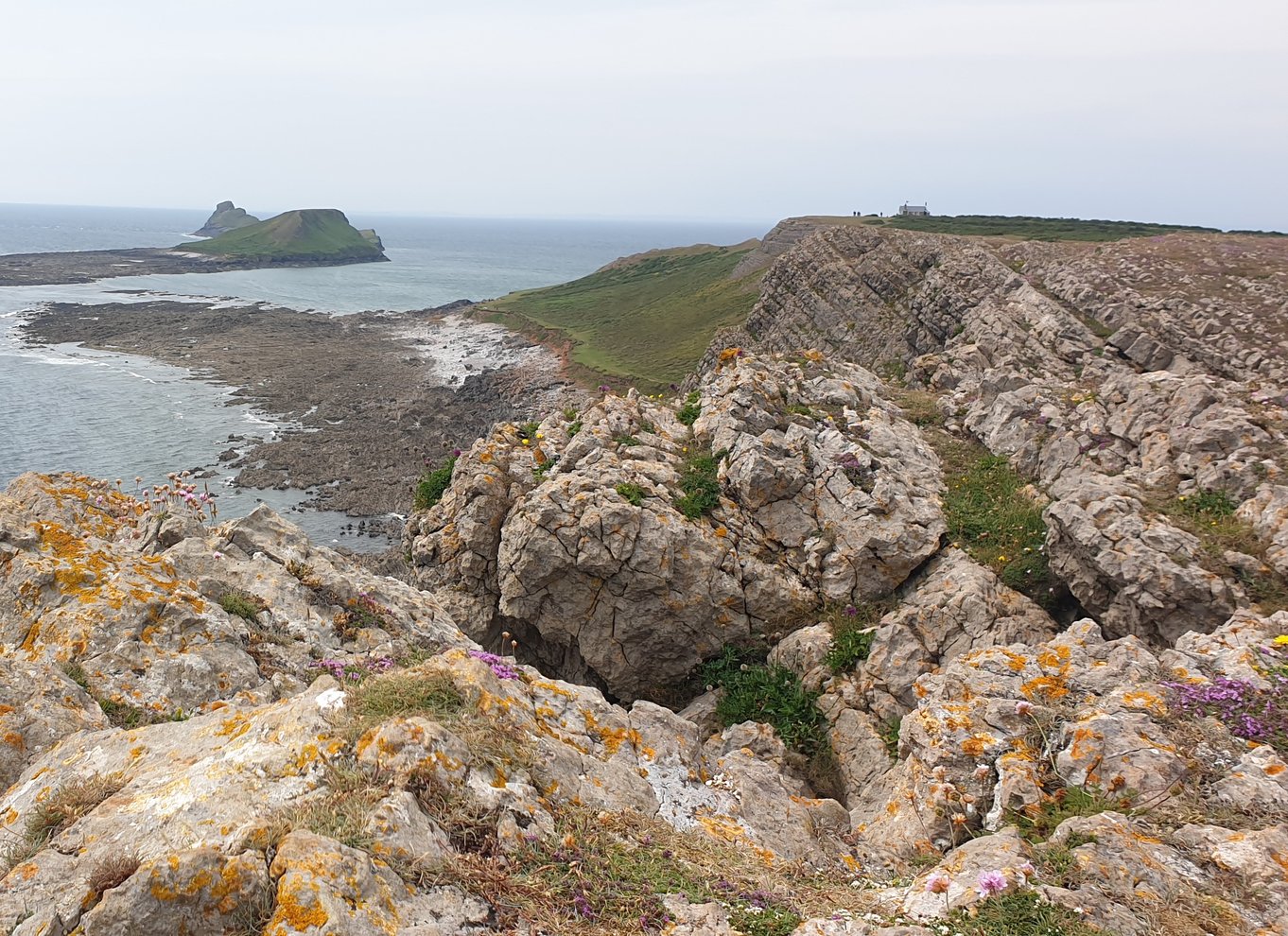 Fra Cardiff: Mumbles og Gower Peninsular Tour