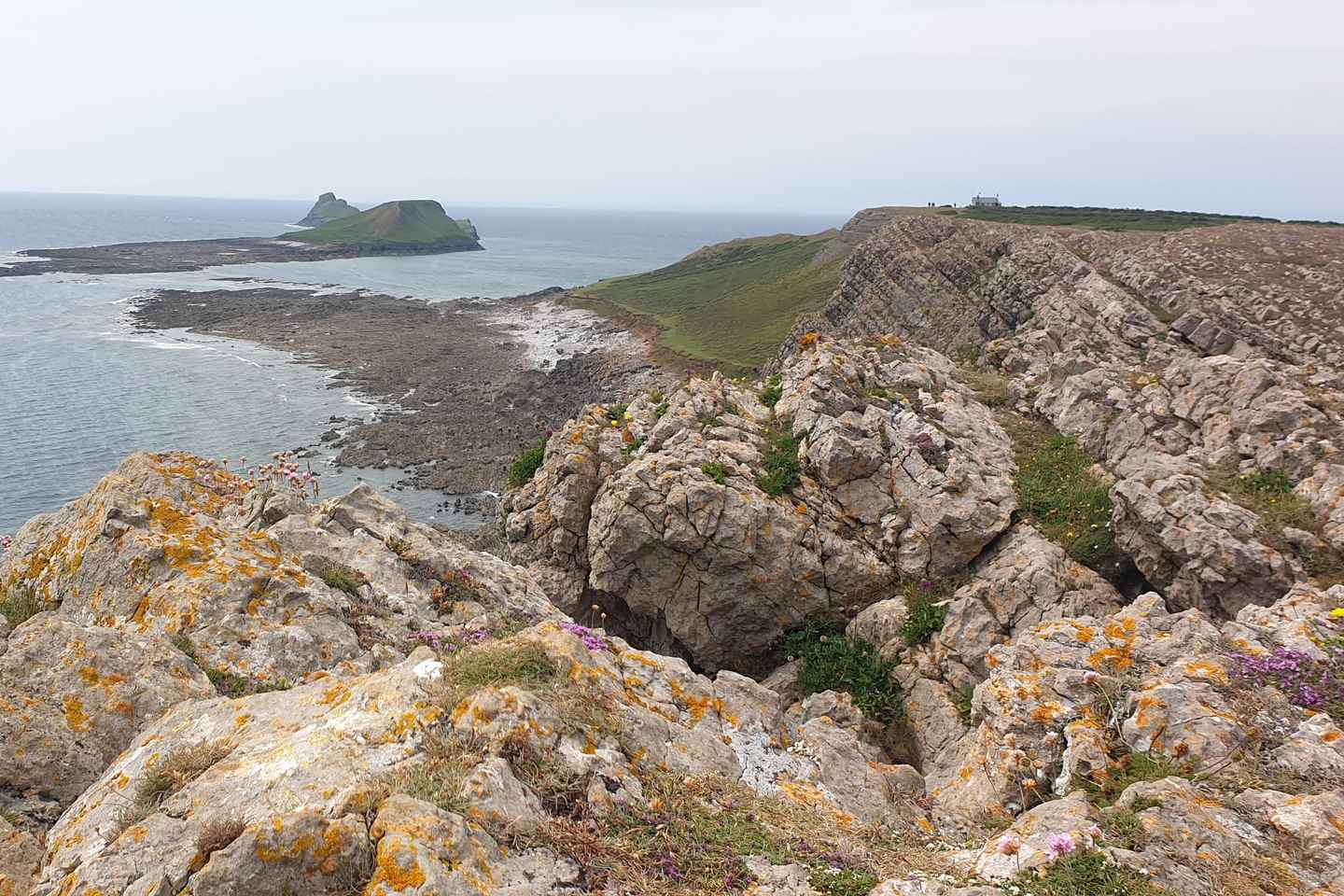 卡迪夫出发:探索芒布尔斯与高尔半岛