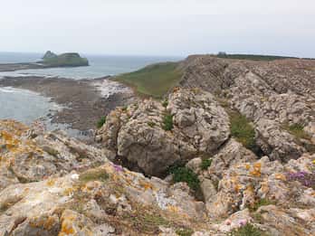 De Cardiff: Mumbles e Gower Peninsular Tour