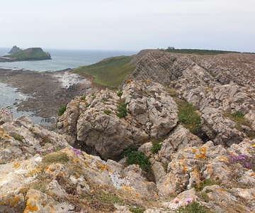 From Cardiff: Mumbles and Gower Peninsular Tour