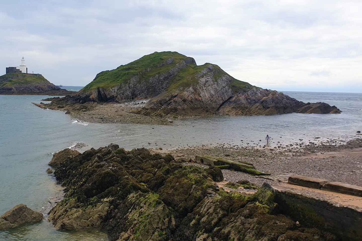 From Cardiff: Mumbles and Gower Peninsular Tour