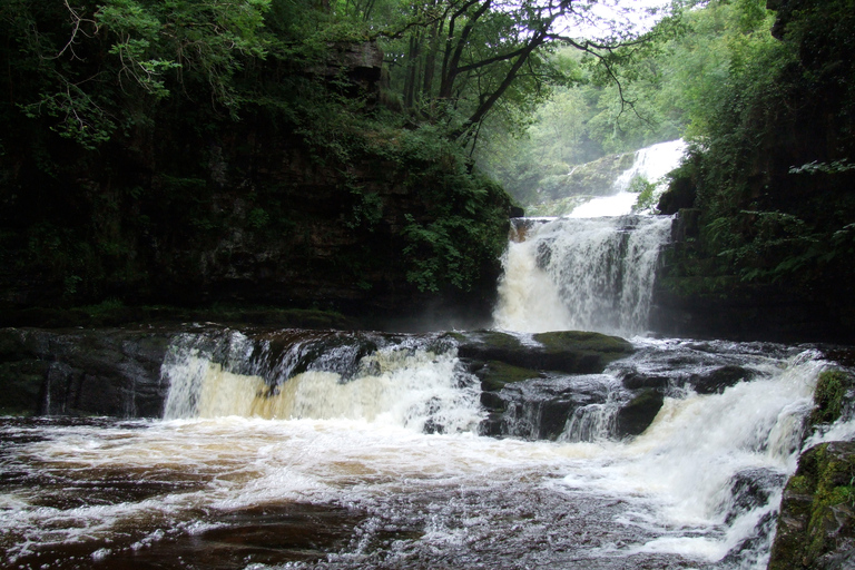 Depuis Cardiff : Visite à pied des chutes d'eau de Brecon Beacons