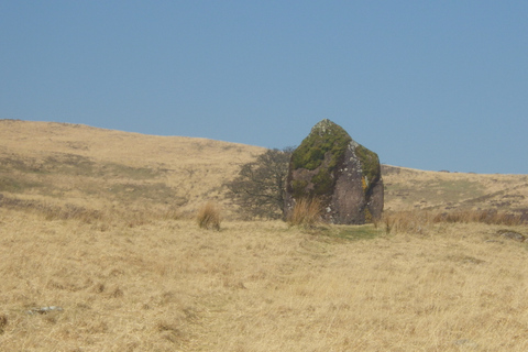 Z Cardiff: Wycieczka piesza nad wodospad Brecon Beacons