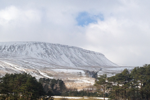 Depuis Cardiff : Visite à pied des chutes d'eau de Brecon Beacons