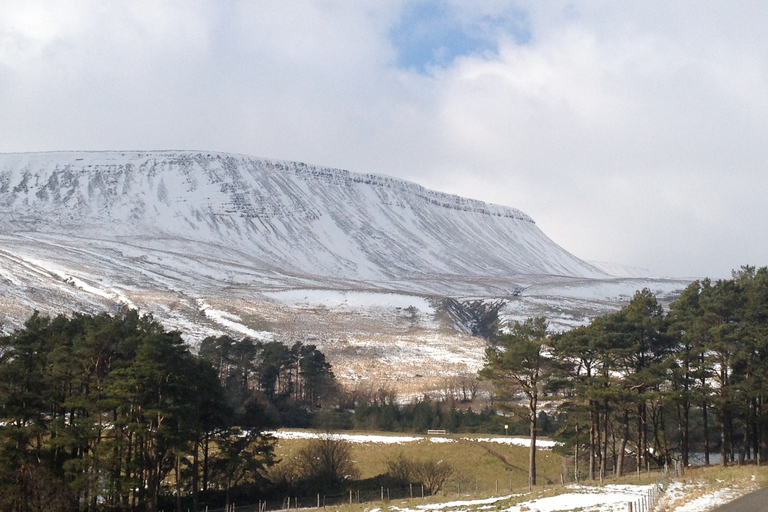 Depuis Cardiff : Visite à pied des chutes d'eau de Brecon Beacons