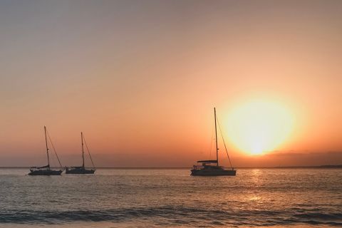 Lanzarote : Croisière d'observation des dauphins au coucher du soleil avec transferts