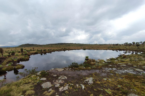 Aberdares: Caminhada guiada pelas Sete Lagoas com vistas panorâmicasAberdares: Caminhada guiada pelas Sete Lagoas com vistas incríveis