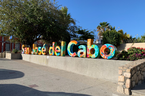 San Jose del Cabo: tour della città e visita alla spiaggia di Palmilla