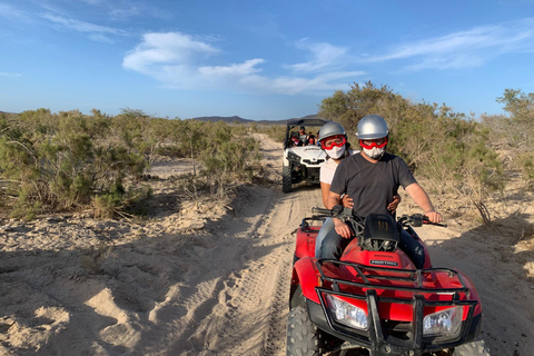 圣何塞卡波：东角 3 小时 ATV 之旅东角单人 ATV 车手